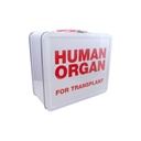 Boîte à lunch d'organe humain 7,75" x 6,75"