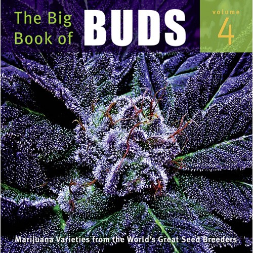Le Grand Livre des Buds 4