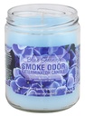 Smoke Odor Exterminator Candle - 13 oz - Blue Serenity