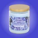 Smoke Odor Exterminator Candle - 13 oz - Blue Serenity