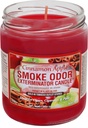 Smoke Odor Exterminator Candle - 13 oz - Cinnamon Apple