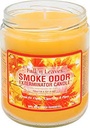 Smoke Odor Exterminator Candle - 13 oz -  Fall'n Leaves