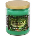 Smoke Odor Exterminator Limited Edition Candle - 13 oz - Forest Walk