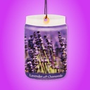 Smoke Odor Exterminator Car Freshner - Lavander whit Chamomile