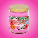 Coconut Grove - Smoke Odor Exterminator Candle - Tropical 13 oz Limited Edition